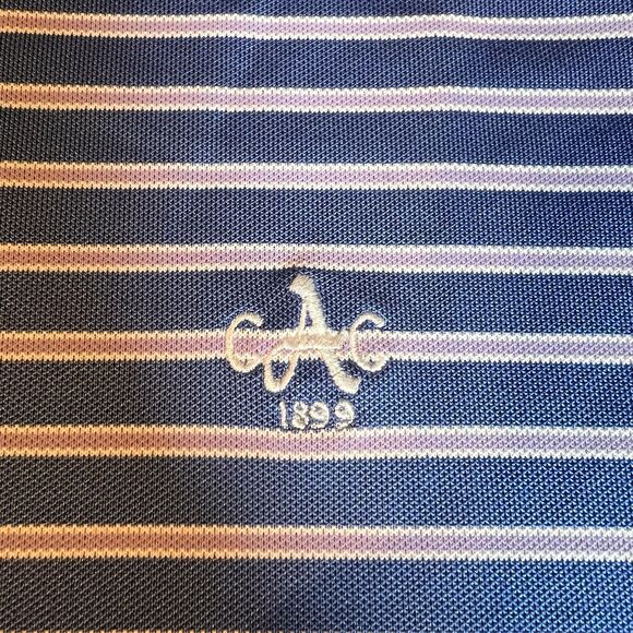 Peter Millar Polo Shirt Mens L Summer Comfort Blue Striped Short Sleeve Stretch - Picture 2 of 6